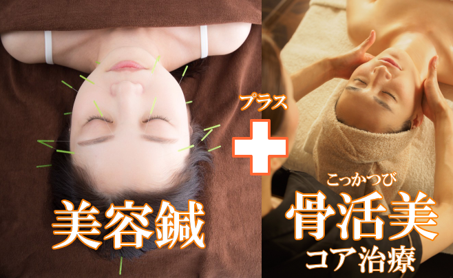 大阪北摂豊中の美容鍼灸プライベート診療 美容鍼灸のフジ鍼灸治療院